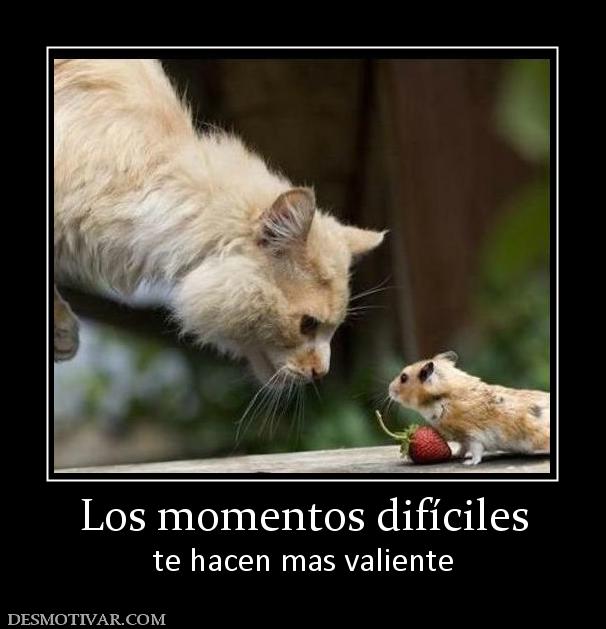 Los momentos difíciles te hacen mas valiente