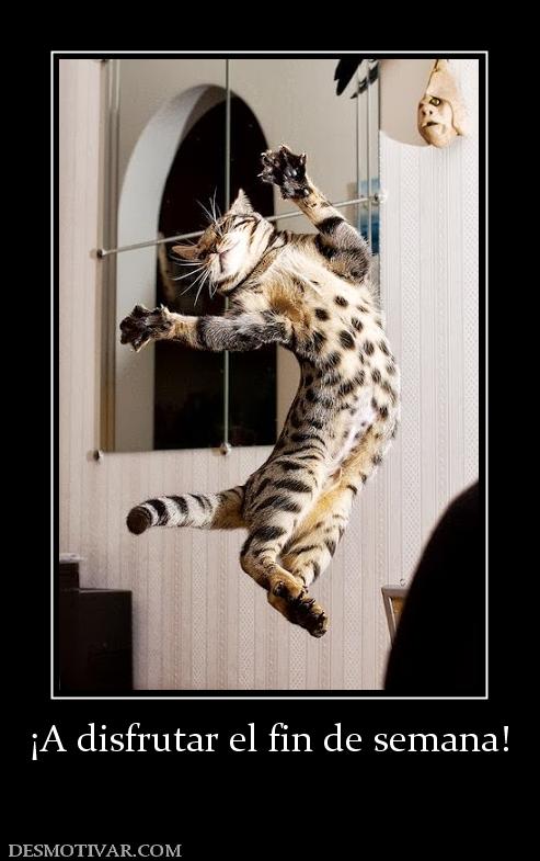 ¡A disfrutar el fin de semana!