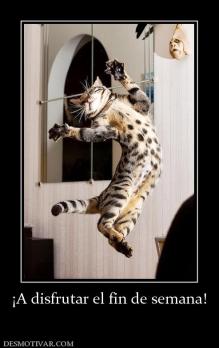 ¡A disfrutar el fin de semana!