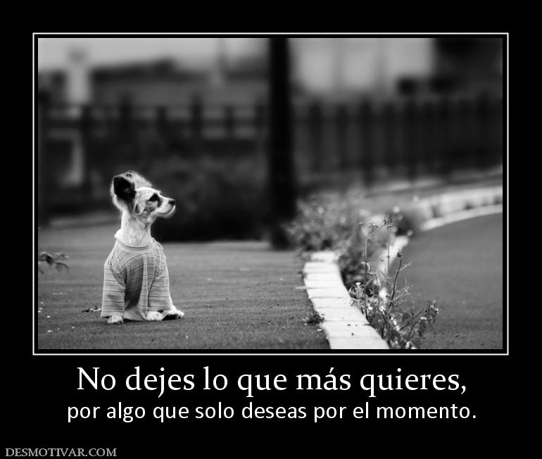 No dejes lo que más quieres, por algo que solo deseas por el momento.