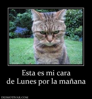 Esta es mi cara de Lunes por la mañana