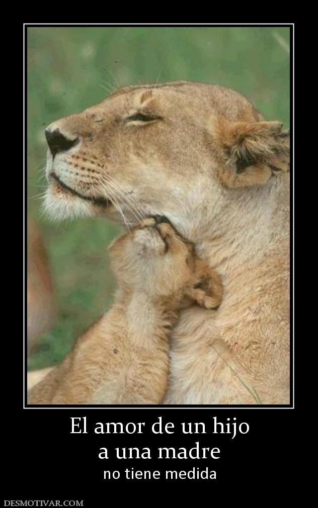 El amor de un hijo a una madre no tiene medida