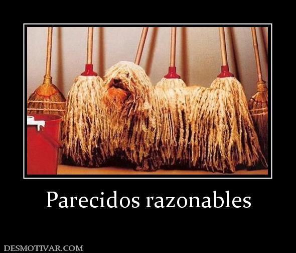 Parecidos razonables