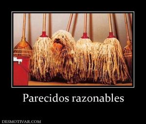 Parecidos razonables