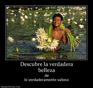 Descubre la verdadera belleza de lo verdaderamente valioso