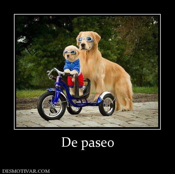 De paseo