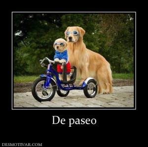 De paseo