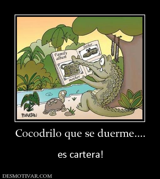 Cocodrilo que se duerme....  es cartera!