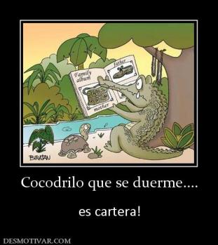 Cocodrilo que se duerme....  es cartera!
