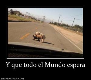 Y que todo el Mundo espera