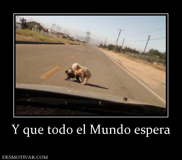 Y que todo el Mundo espera