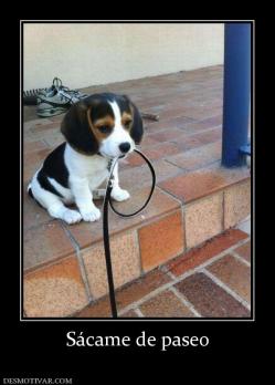 Sácame de paseo
