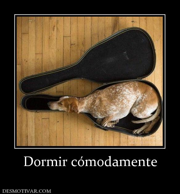 Dormir cómodamente