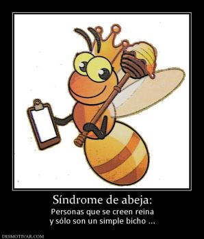 Síndrome de abeja: Personas que se creen reina y sólo son un simple bicho ...