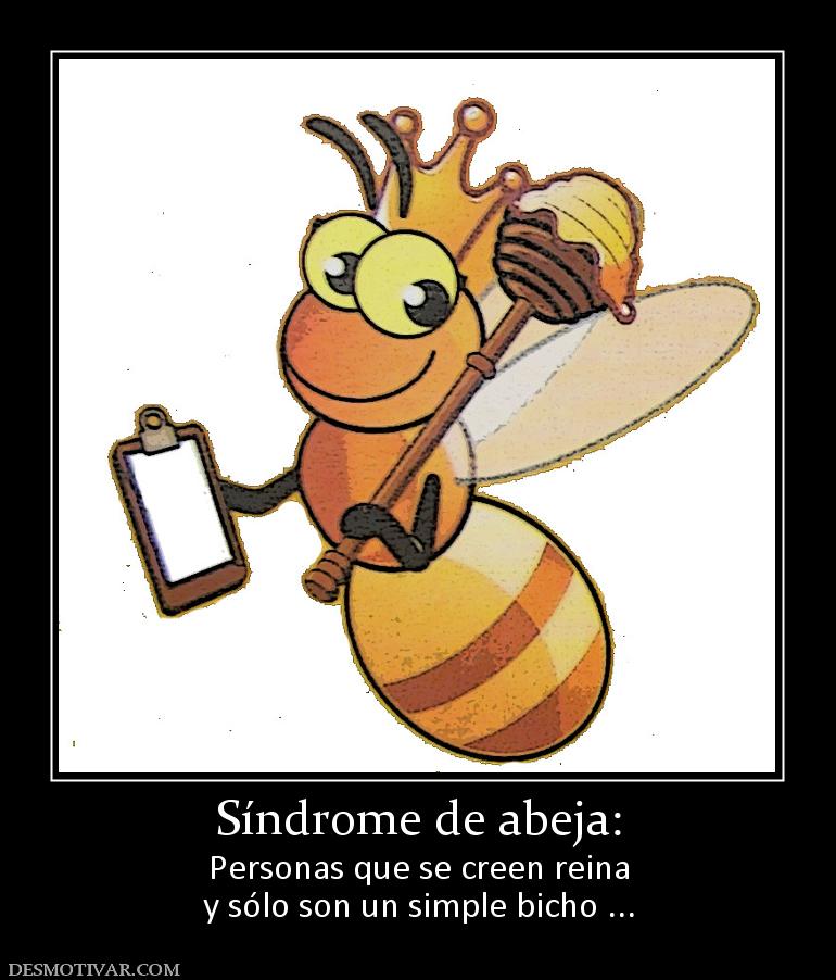 Síndrome de abeja: Personas que se creen reina y sólo son un simple bicho ...