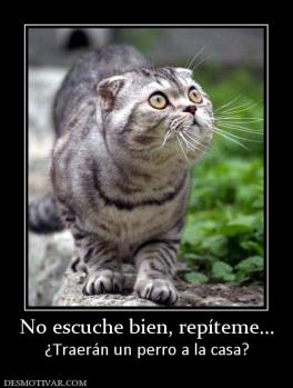 No escuche bien, repíteme... ¿Traerán un perro a la casa?