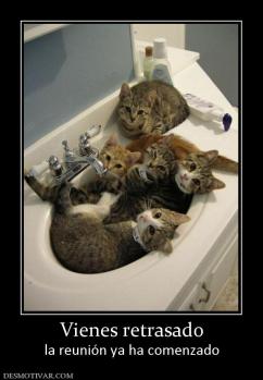Vienes retrasado la reunión ya ha comenzado