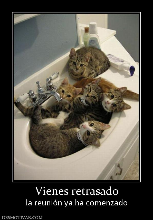 Vienes retrasado la reunión ya ha comenzado