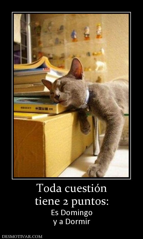 Toda cuestión tiene 2 puntos: Es Domingo y a Dormir