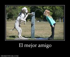 El mejor amigo