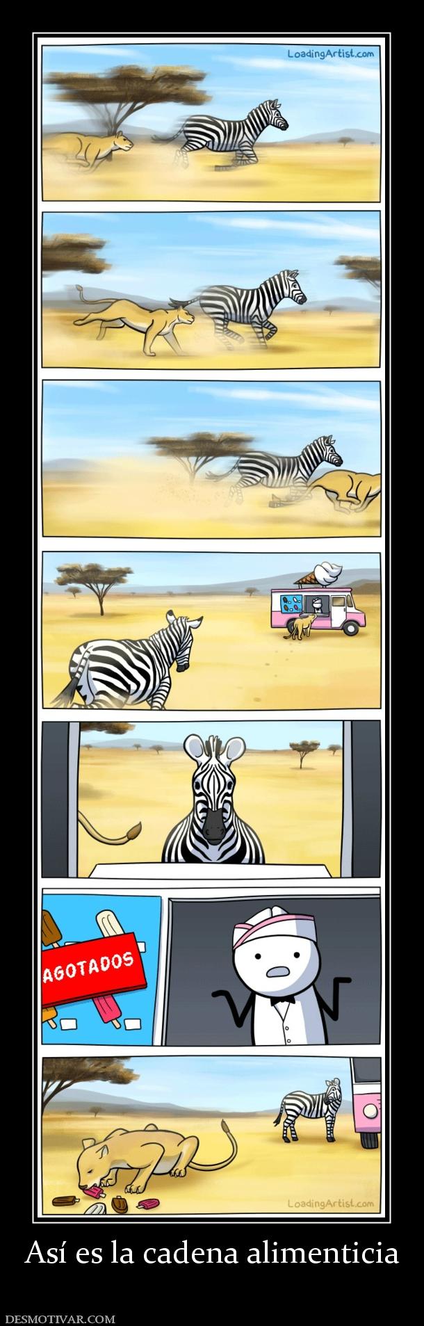 Así es la cadena alimenticia