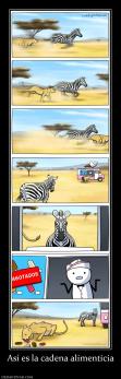 Así es la cadena alimenticia