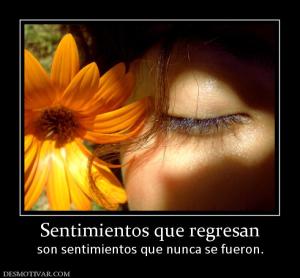 Sentimientos que regresan son sentimientos que nunca se fueron.