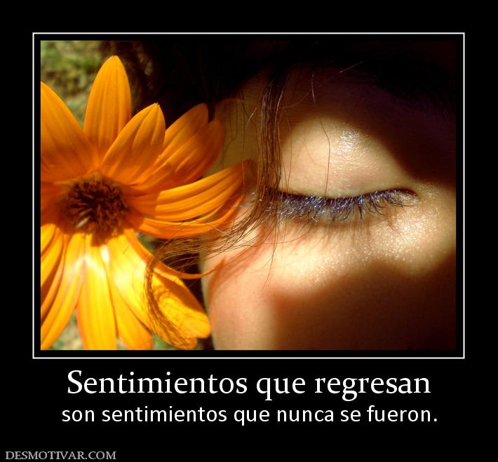 Sentimientos que regresan son sentimientos que nunca se fueron.