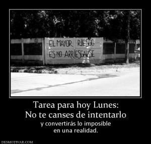 Tarea para hoy Lunes: No te canses de intentarlo y convertirás lo imposible en una realidad.
