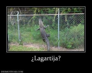 ¿Lagartija?