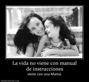La vida no viene con manual de instrucciones viene con una Mamá.
