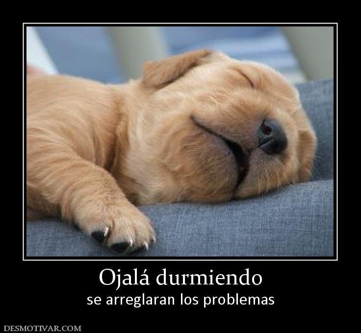 Ojalá durmiendo se arreglaran los problemas