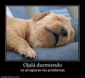 Ojalá durmiendo se arreglaran los problemas