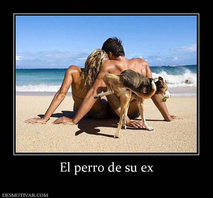 El perro de su ex