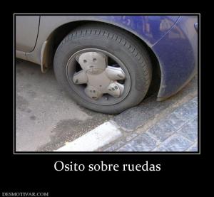 Osito sobre ruedas