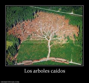 Los arboles caídos
