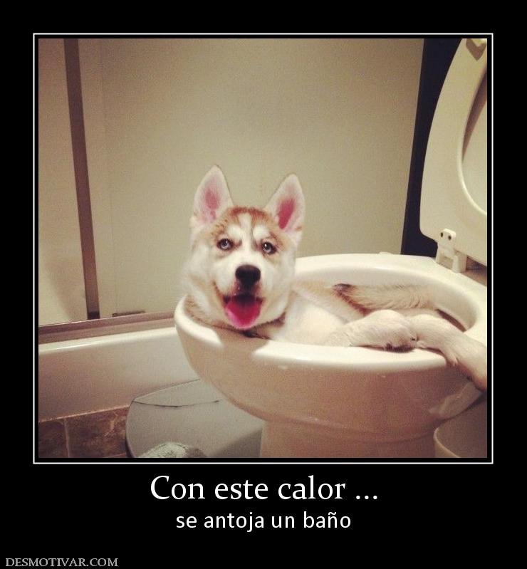 Con este calor ... se antoja un baño