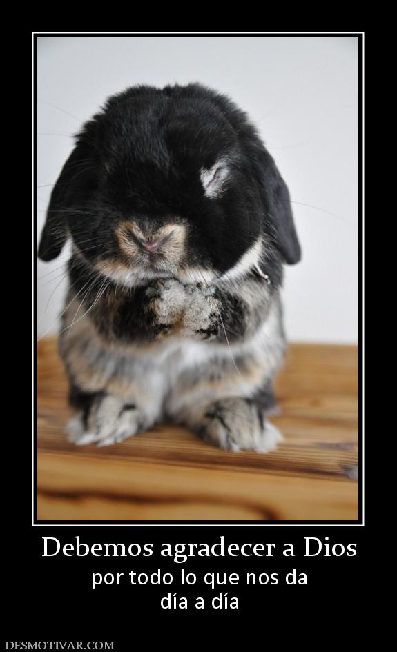 Debemos agradecer a Dios por todo lo que nos da día a día