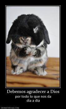 Debemos agradecer a Dios por todo lo que nos da día a día