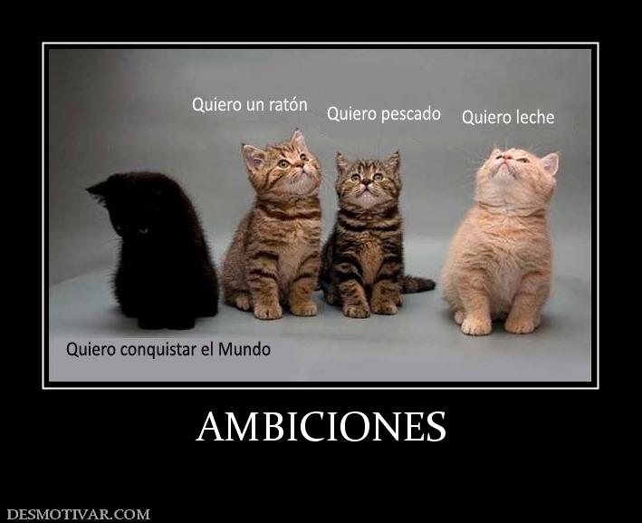 AMBICIONES