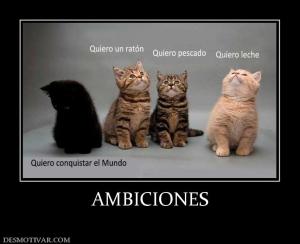 AMBICIONES