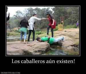 Los caballeros aún existen!