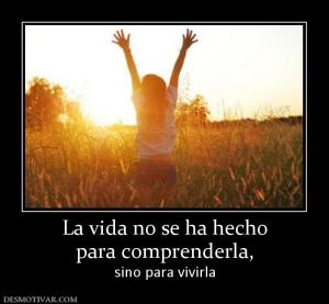 La vida no se ha hecho para comprenderla,  sino para vivirla