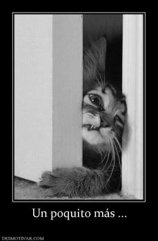 Un poquito más ...