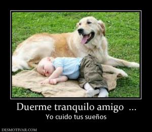 Duerme tranquilo amigo  ... Yo cuido tus sueños