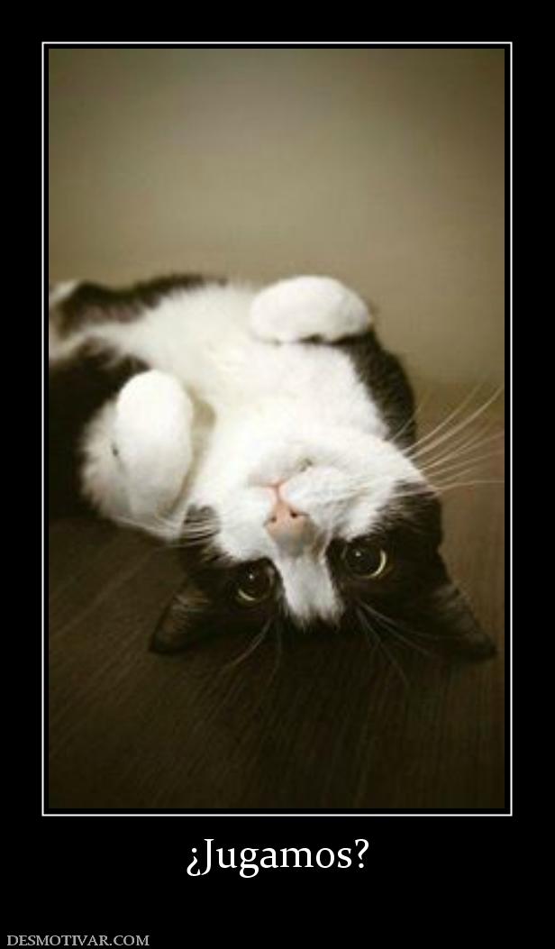 ¿Jugamos?