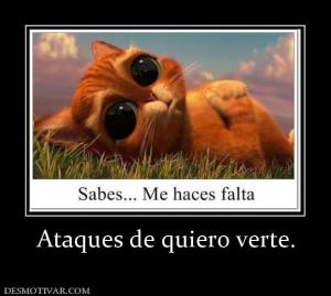 Ataques de quiero verte.