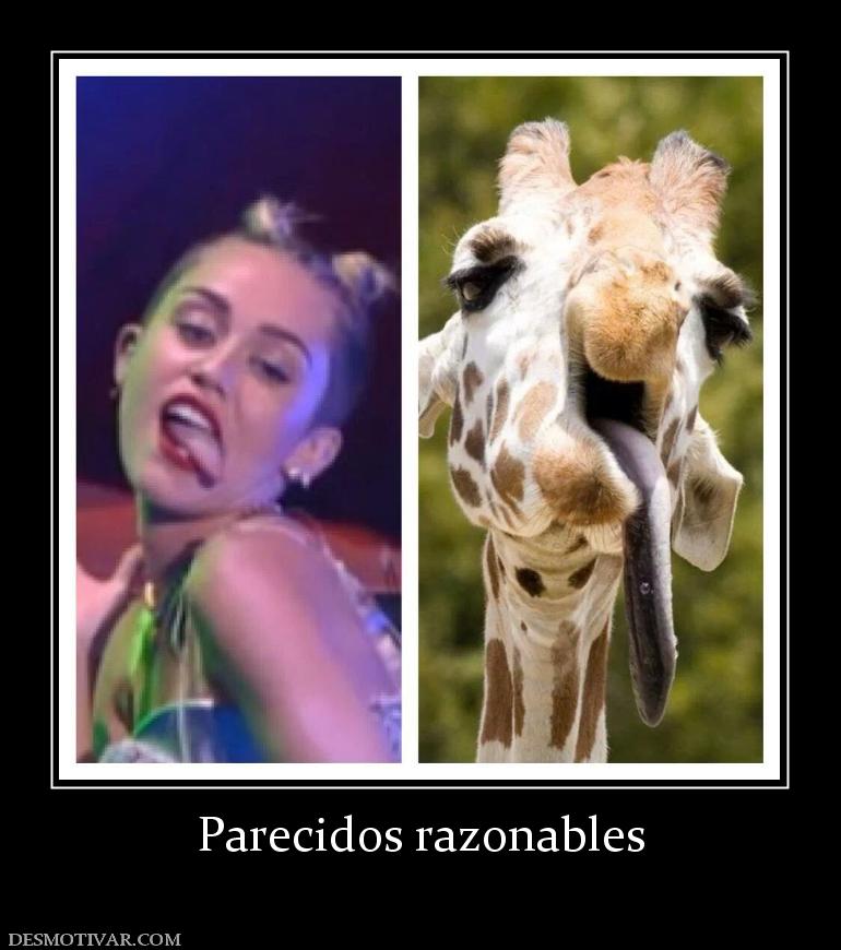 Parecidos razonables