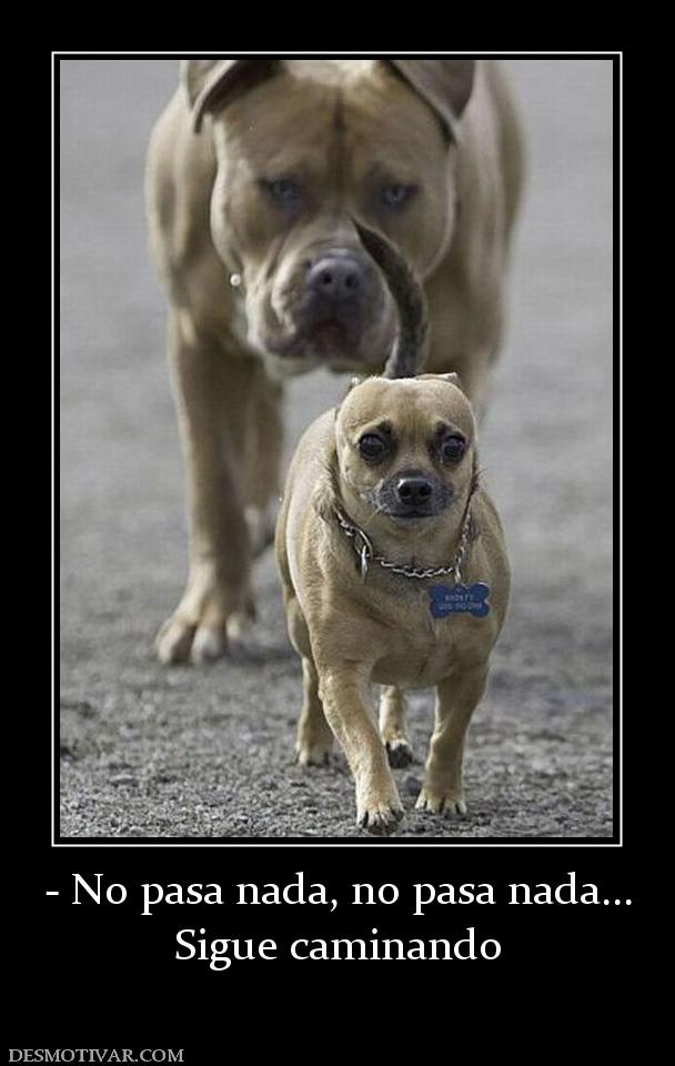 - No pasa nada, no pasa nada... Sigue caminando