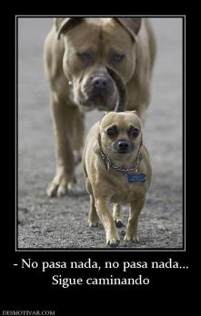 - No pasa nada, no pasa nada... Sigue caminando